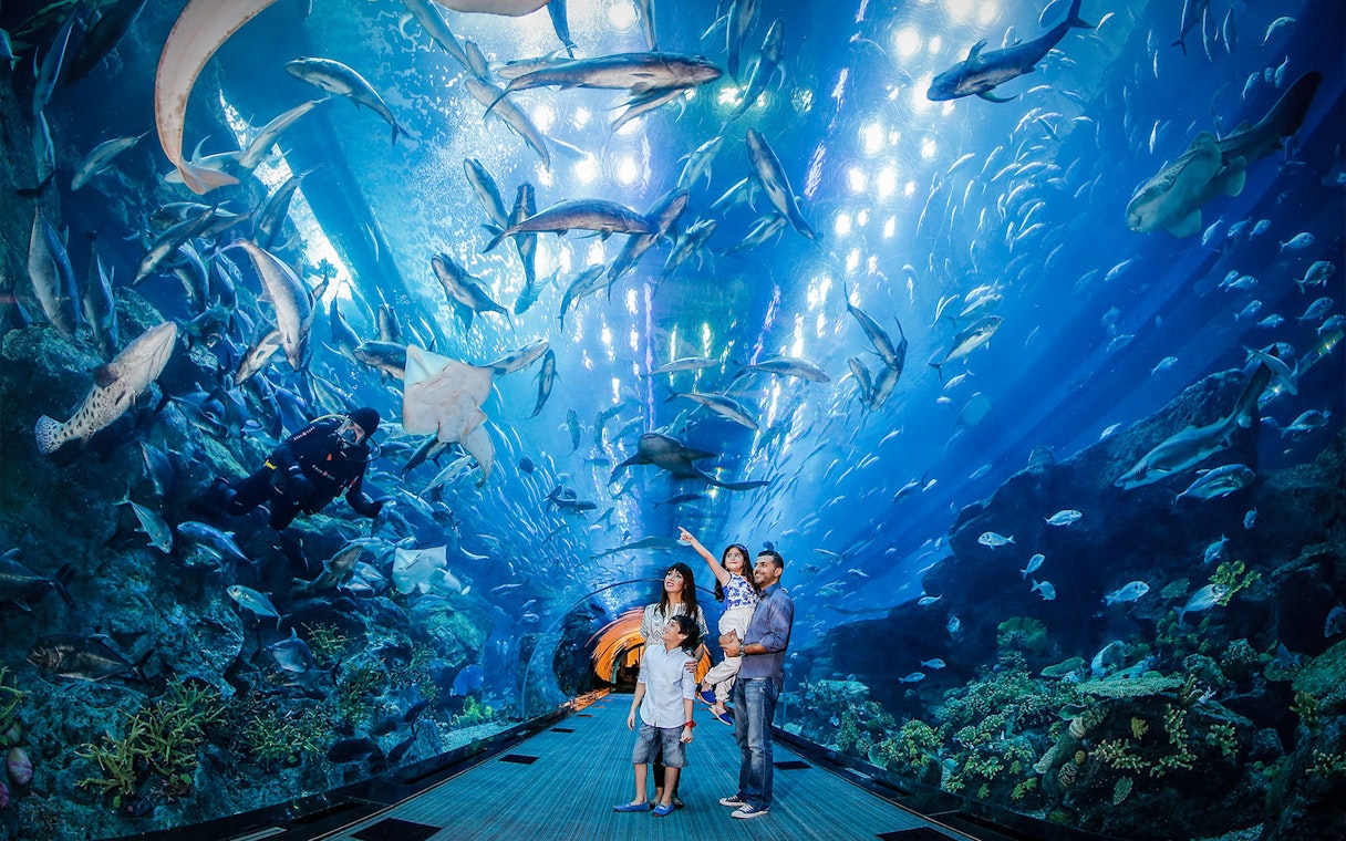 Family observing marine life in Dubai Aquarium tunnel.
