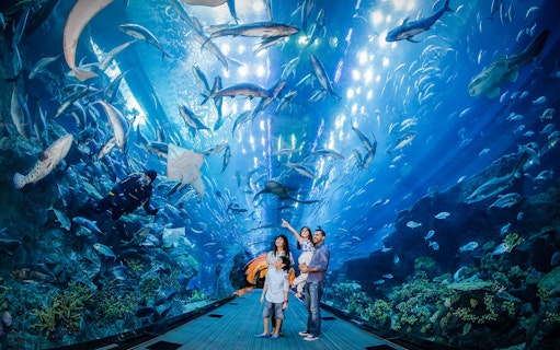 Family observing marine life in Dubai Aquarium tunnel.