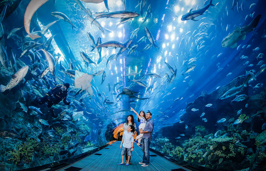 Family observing marine life in Dubai Aquarium tunnel.