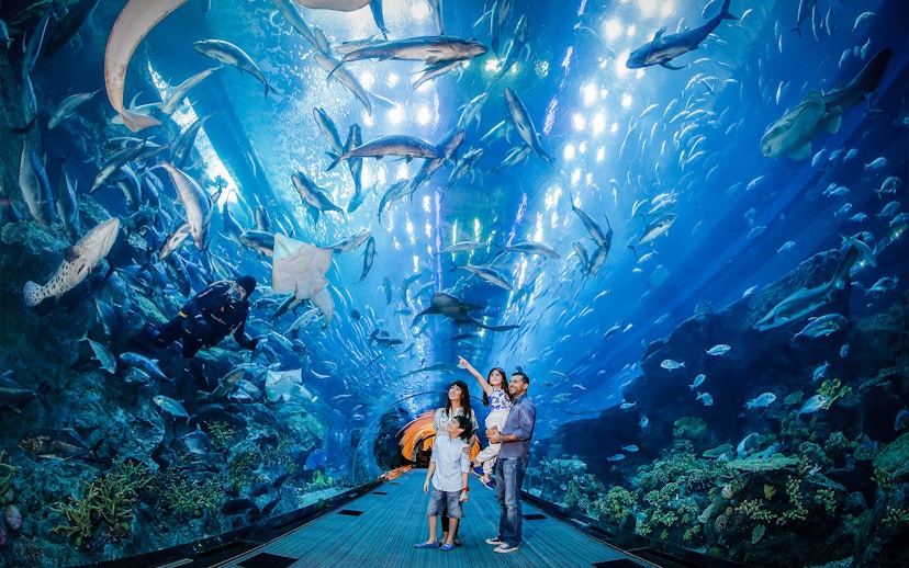 Family observing marine life in Dubai Aquarium tunnel.