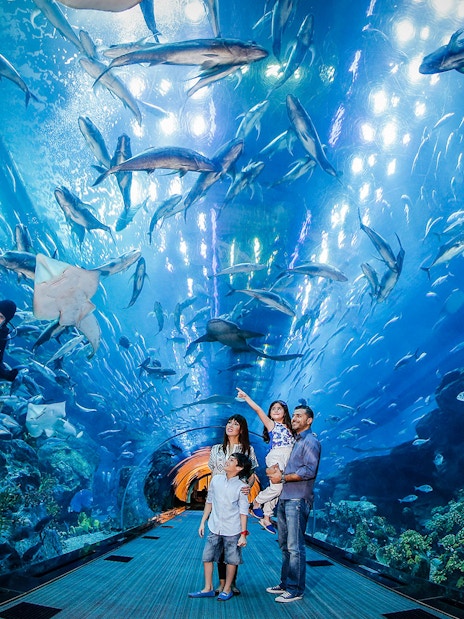 Family observing marine life in Dubai Aquarium tunnel.