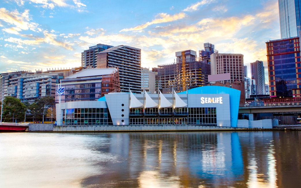 Exterior view of SEA LIFE Melbourne Aquarium by the river with city skyline.