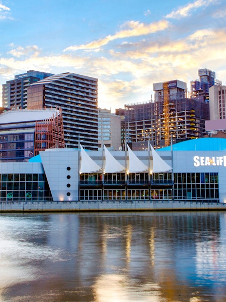 Exterior view of SEA LIFE Melbourne Aquarium by the river with city skyline.