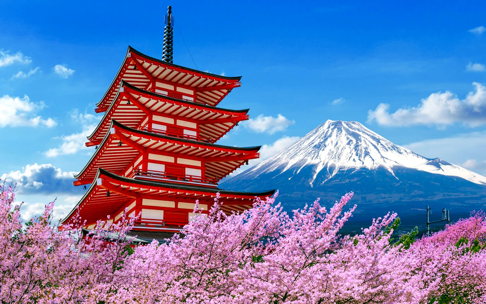 From Tokyo: Lake Kawaguchi Ropeway and Arakurayama Sengen Park Tour Image 3