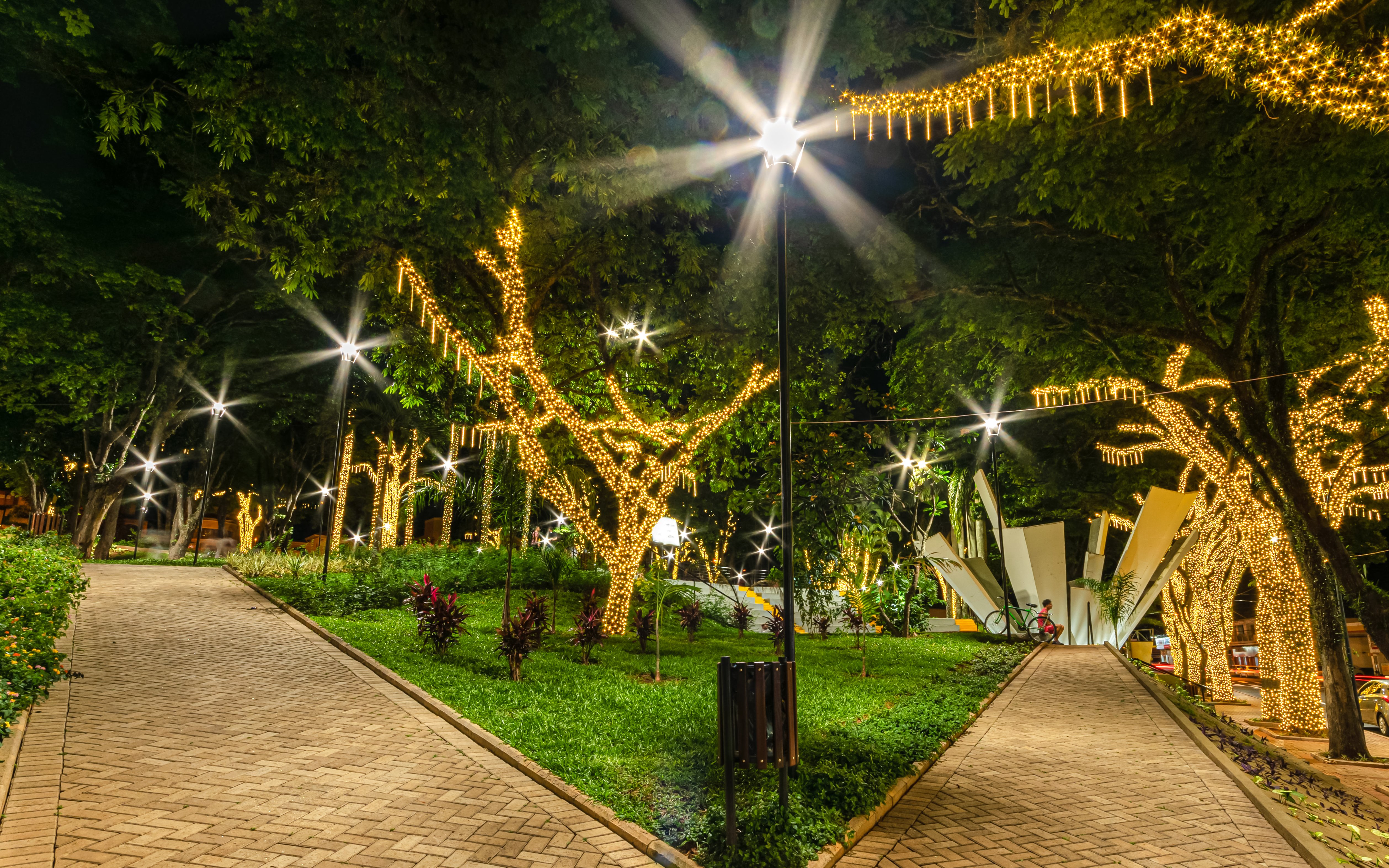 Pathway in a park illuminated by decorative lights on trees at night.