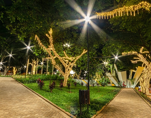 Pathway in a park illuminated by decorative lights on trees at night.