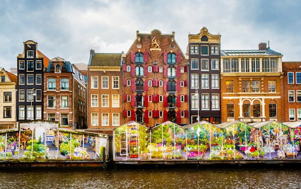 Canal houses and flower market stalls in Amsterdam.
