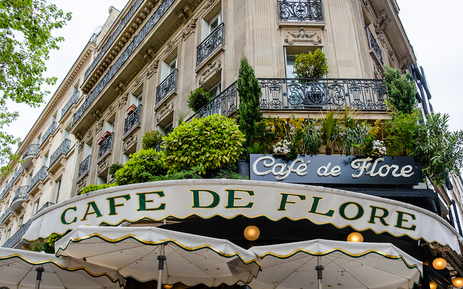 Cafe de Flore exterior with greenery, Paris, featured in Emily in Paris Food Tour.