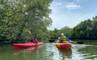 Kayakers paddling through mangroves at Pulau Ubin, Singapore.