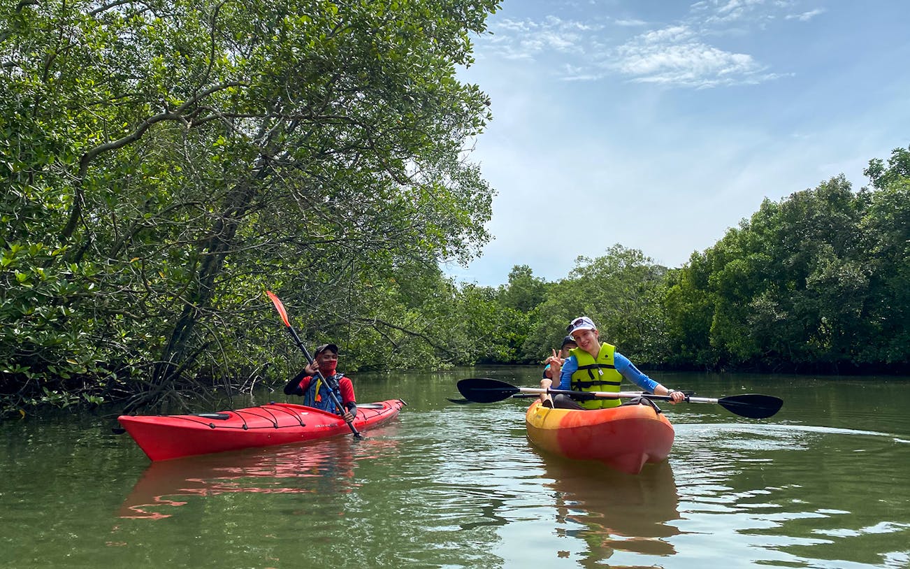 Kayakers paddling through mangroves at Pulau Ubin, Singapore.