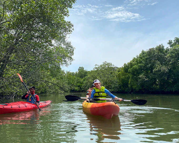 Pulau Ubin Mangrove Kayaking Adventure