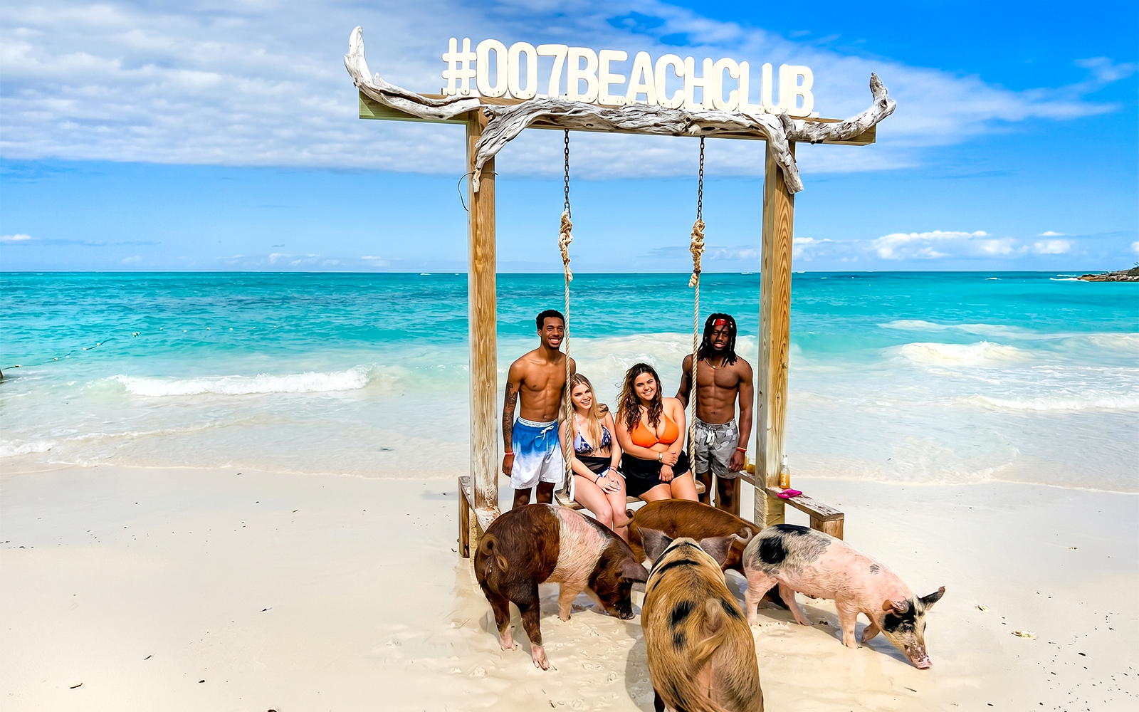 Swimming with pigs on Rose Island beach, Bahamas, with people enjoying the ocean view.