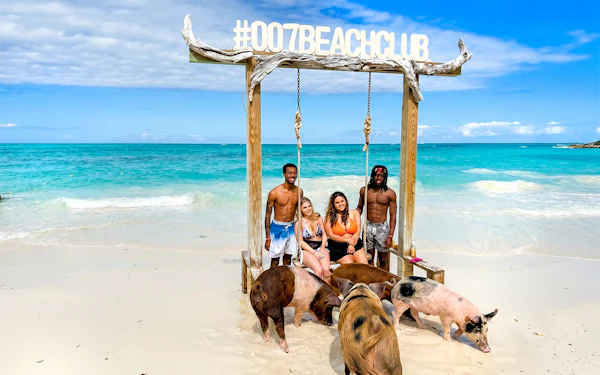Rose Island: Premium Beach Club, Swim with Pigs Half Day Trip with Snorkelling