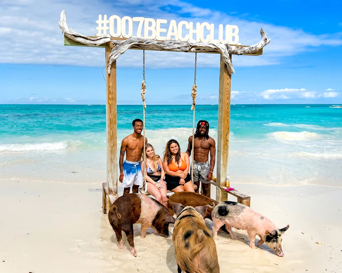 Rose Island: Premium Beach Club, Swim with Pigs Half Day Trip with Snorkelling