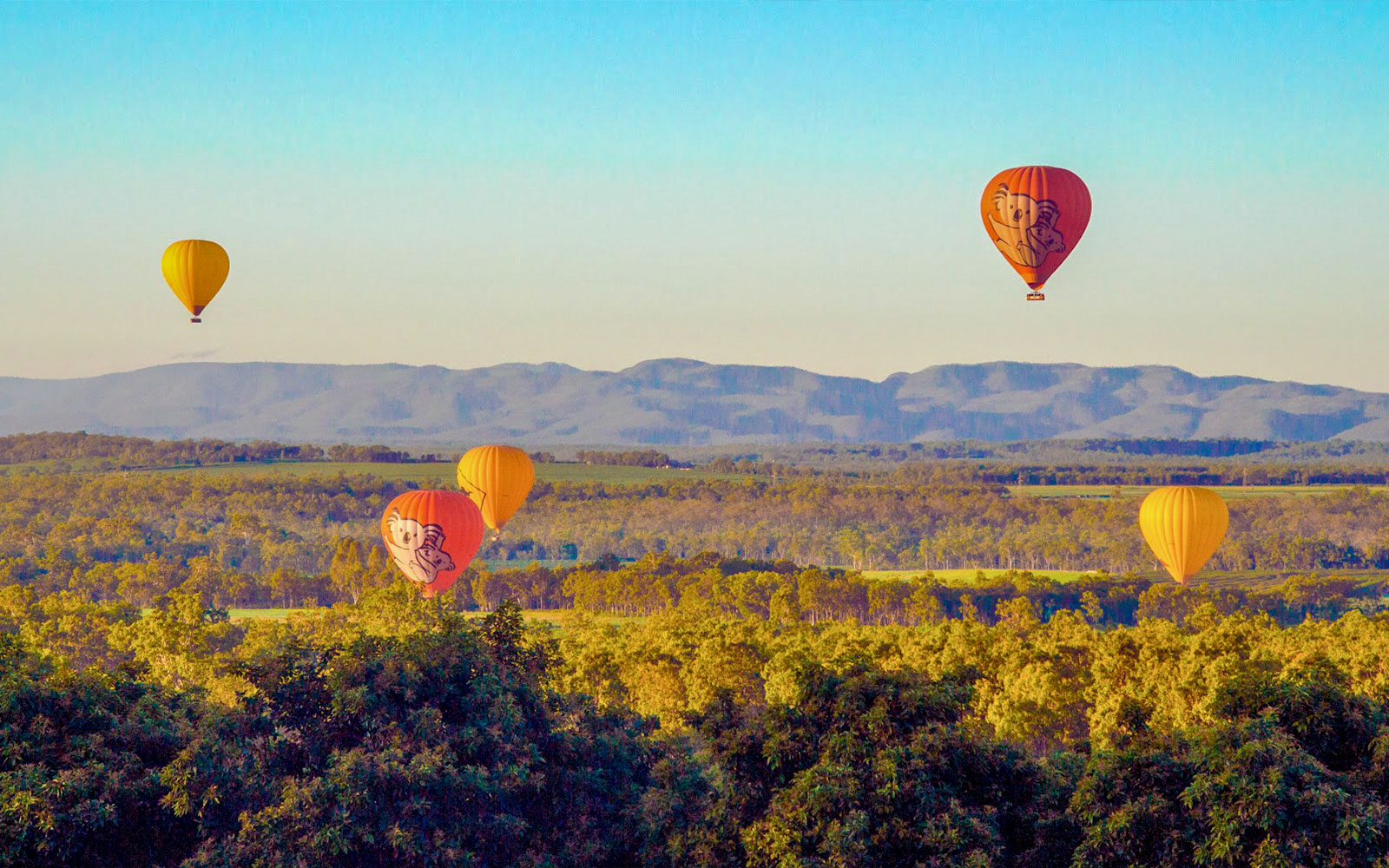Hot air balloons over scenic landscape in Cairns, Australia.