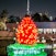 Dubai Garden Glow