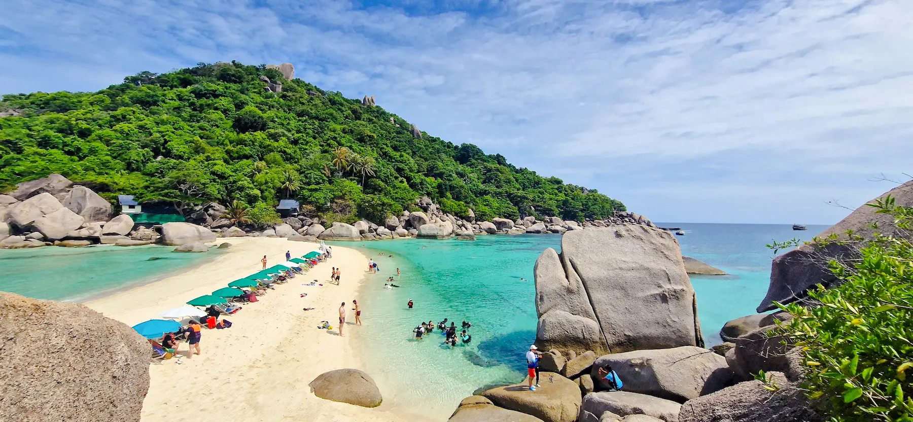 From Koh Tao: Private Longtail Boat Tour with Snorkeling and Koh Nang Yuan Image 12