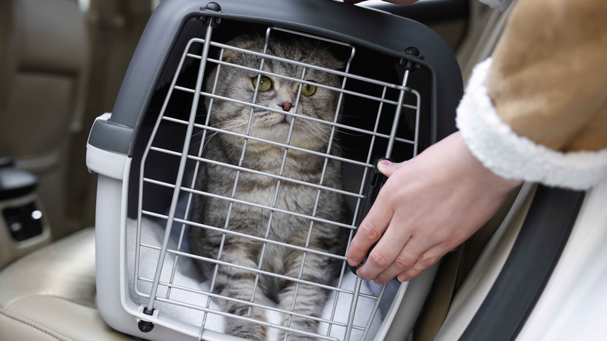 Entradas Illuseum Berlín