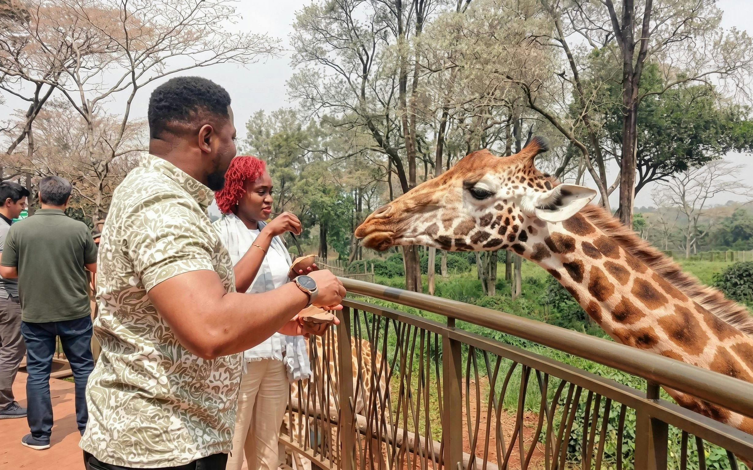 Couple feeding giraffes at the Giraffe Centre in Nairobi.