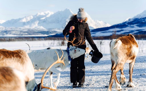 au départ de tromsø : visite de l'élevage de rennes et de la culture sami avec déjeuner-5
