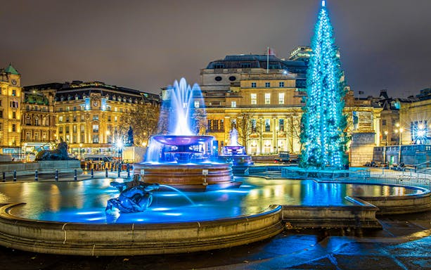 Trafalgar Square fountain and Christmas tree illuminated at night during London Black Cab Tour.