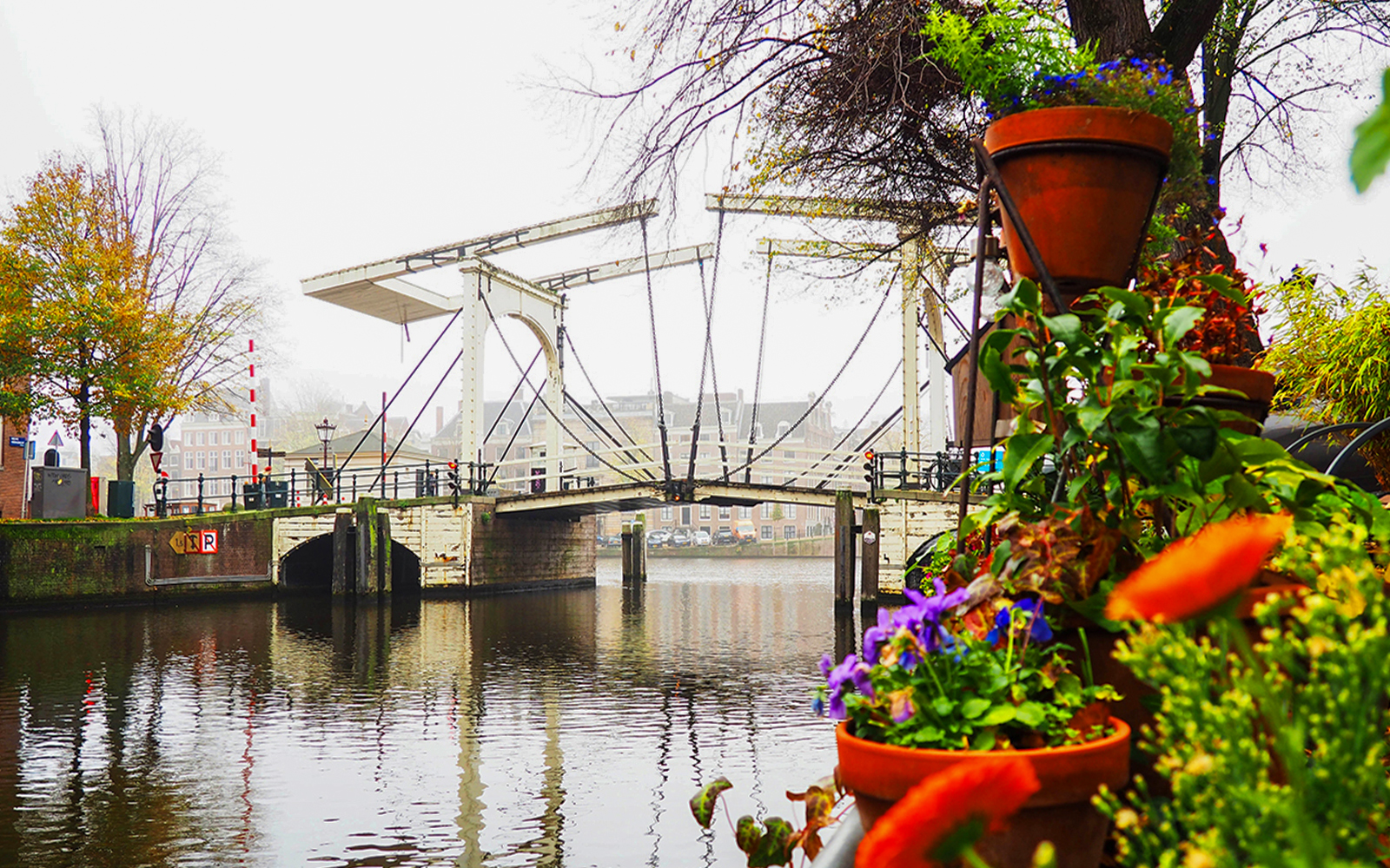 Suskind Bridge over canal in Amsterdam with colorful flowers in foreground.