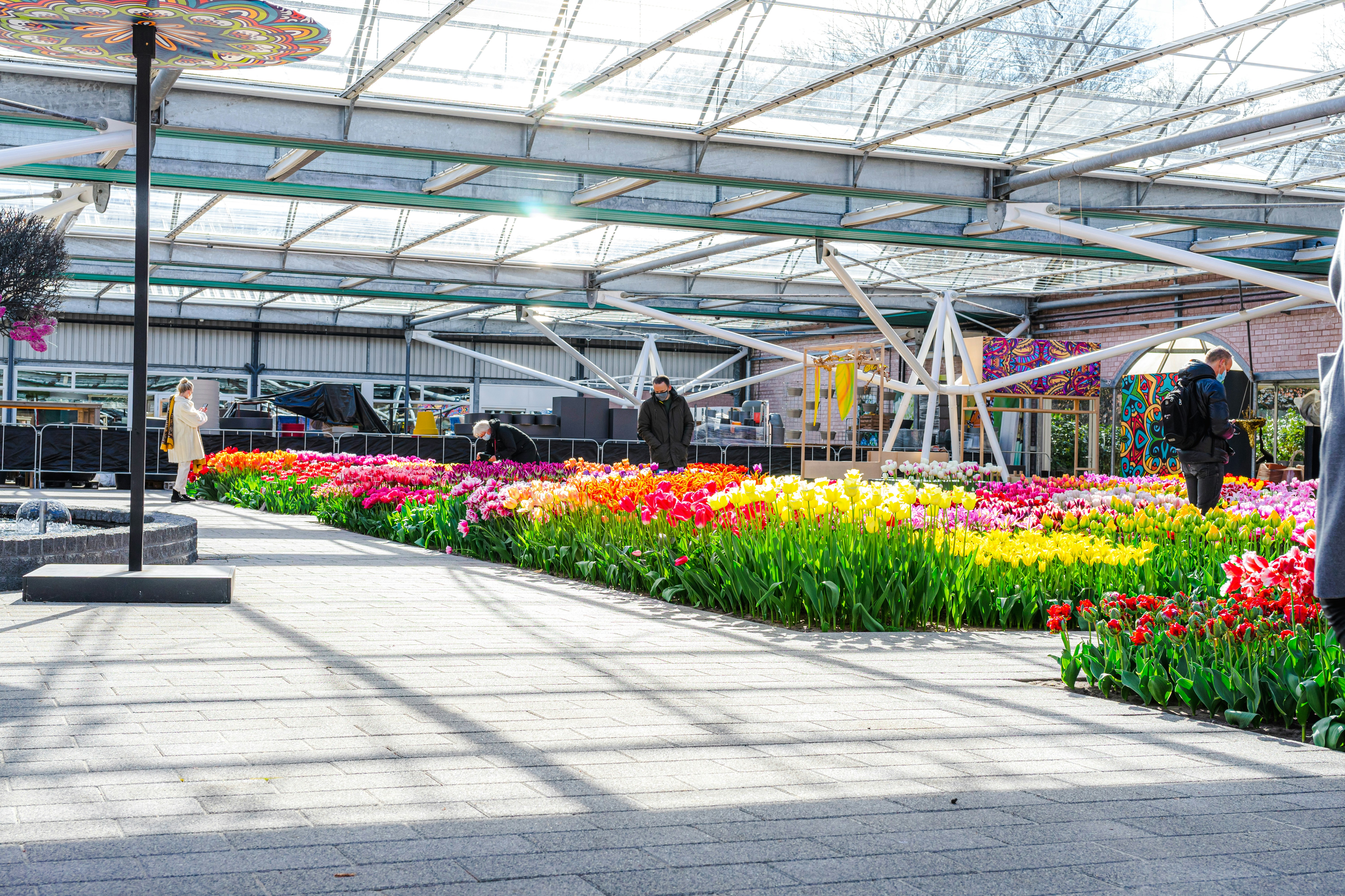 Tulip display inside the pavilion at Keukenhof Gardens, Netherlands.