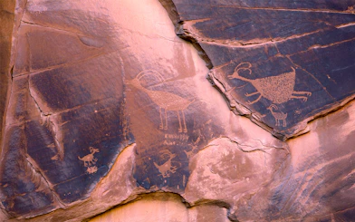 Ancient Anasazi petroglyphs depicting animals at Monument Valley, Utah, USA.