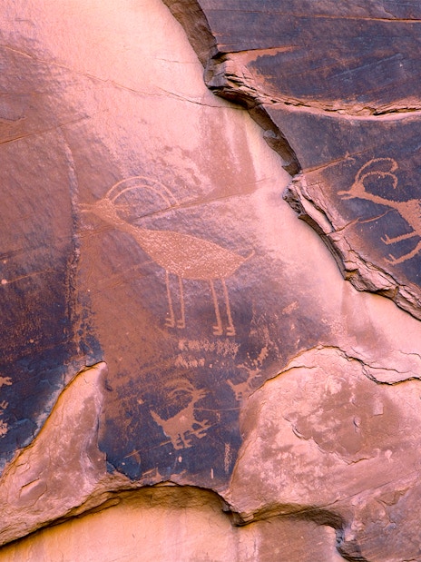 Ancient Anasazi petroglyphs depicting animals at Monument Valley, Utah, USA.