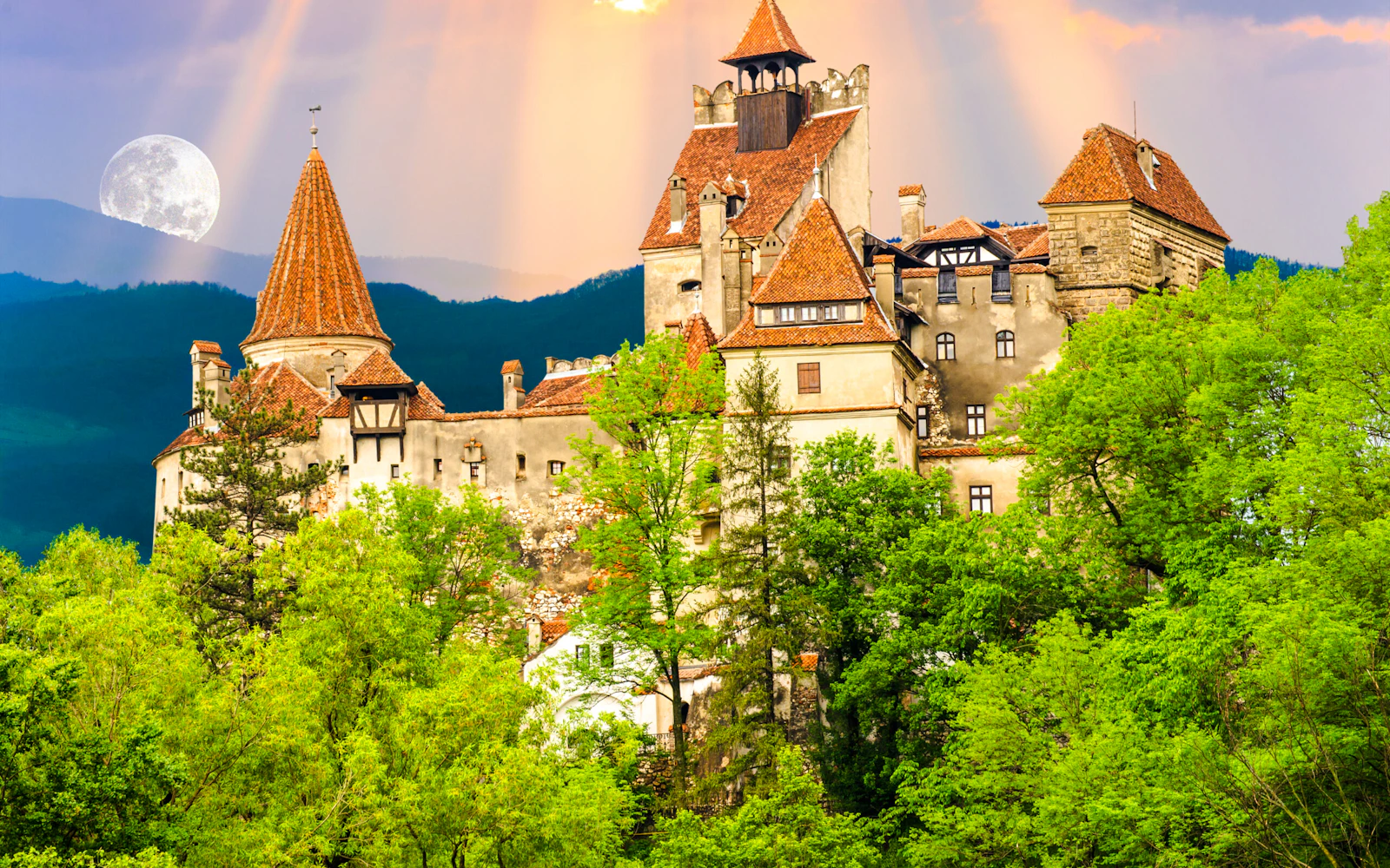 From Bucharest: Brasov Christmas Market & Dracula's Castle Day Trip