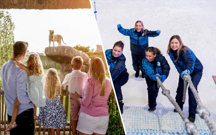Family watching lion at Dubai Safari Park and group enjoying snow activities at Ski Dubai.