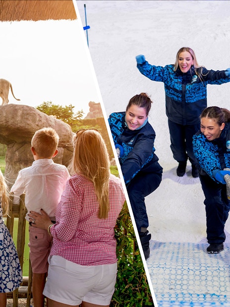 Family watching lion at Dubai Safari Park and group enjoying snow activities at Ski Dubai.