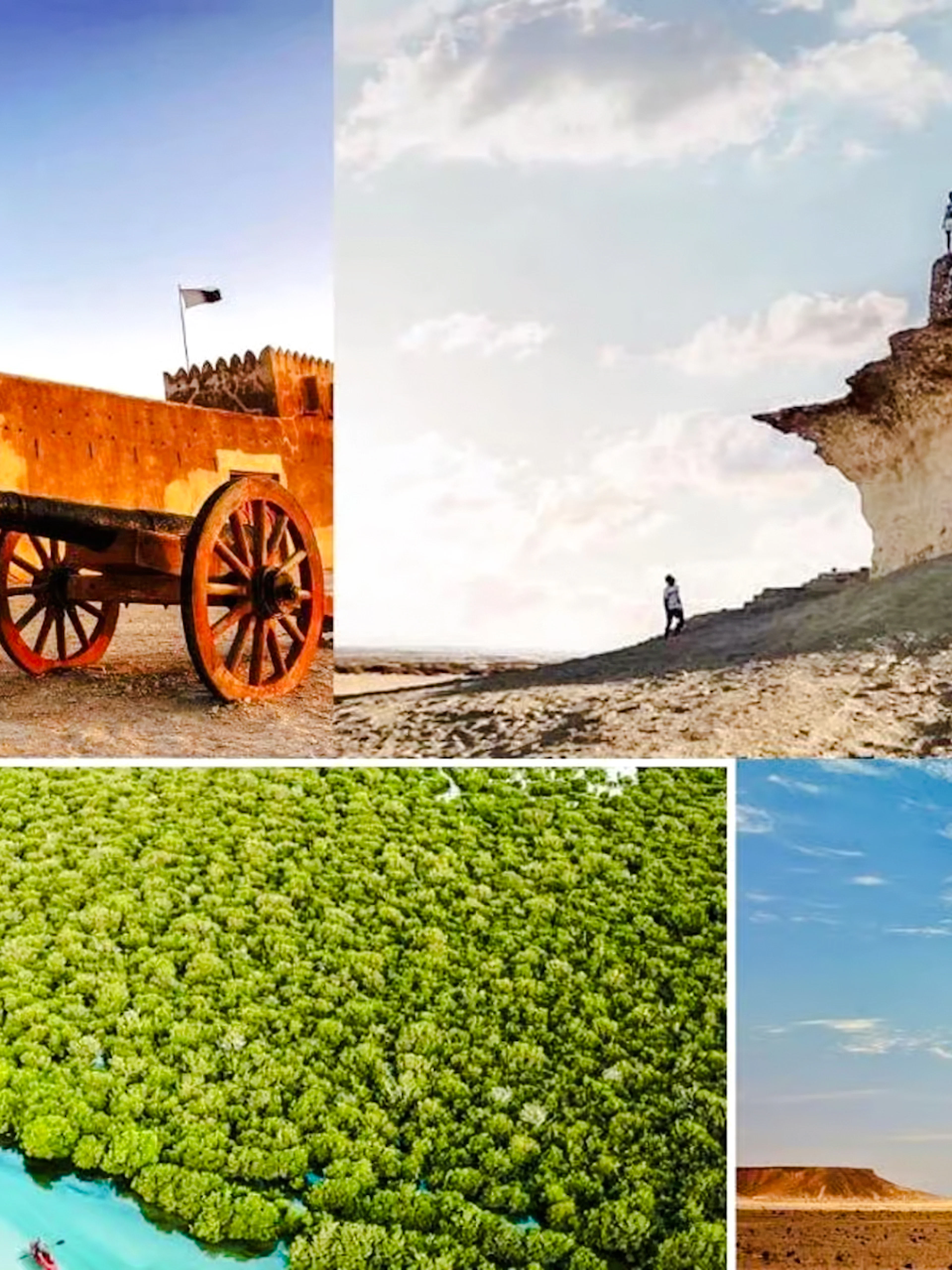 from doha: north & west qatar tour with al zubara fort-1