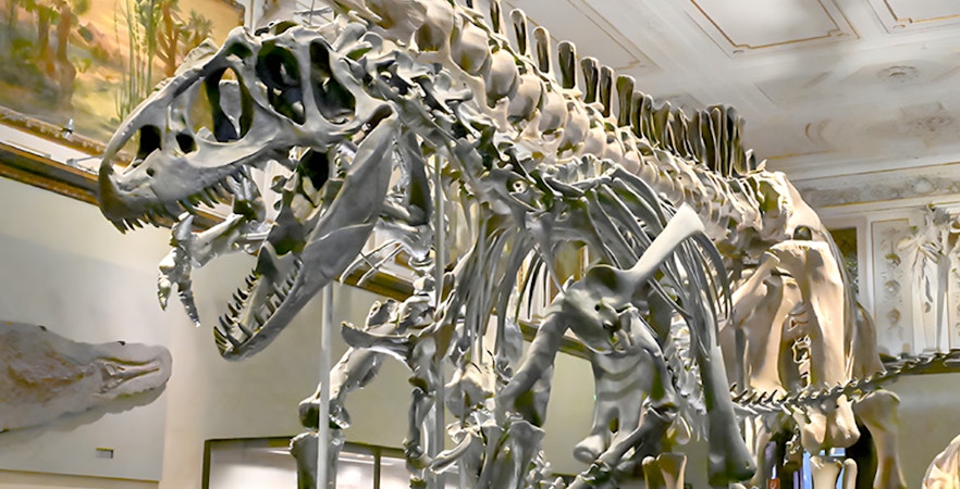 Muzeum Historii Naturalnej w Wiedniu