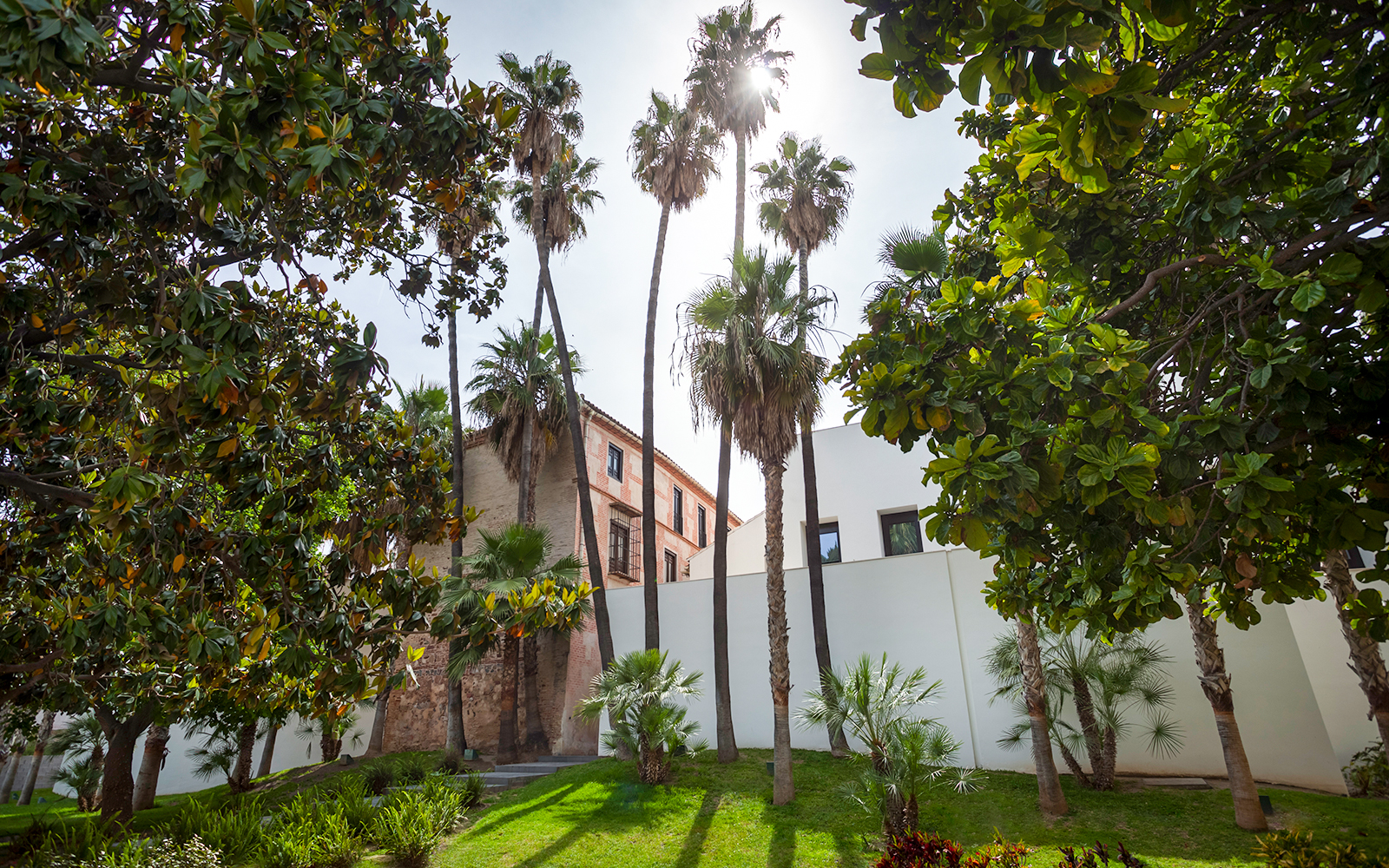Picasso Museum Malaga gardens with palm trees and historic building.