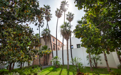 Picasso Museum Malaga gardens with palm trees and historic building.