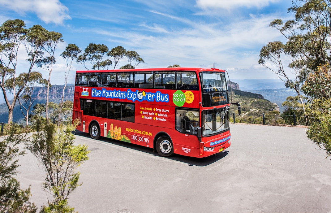 bus