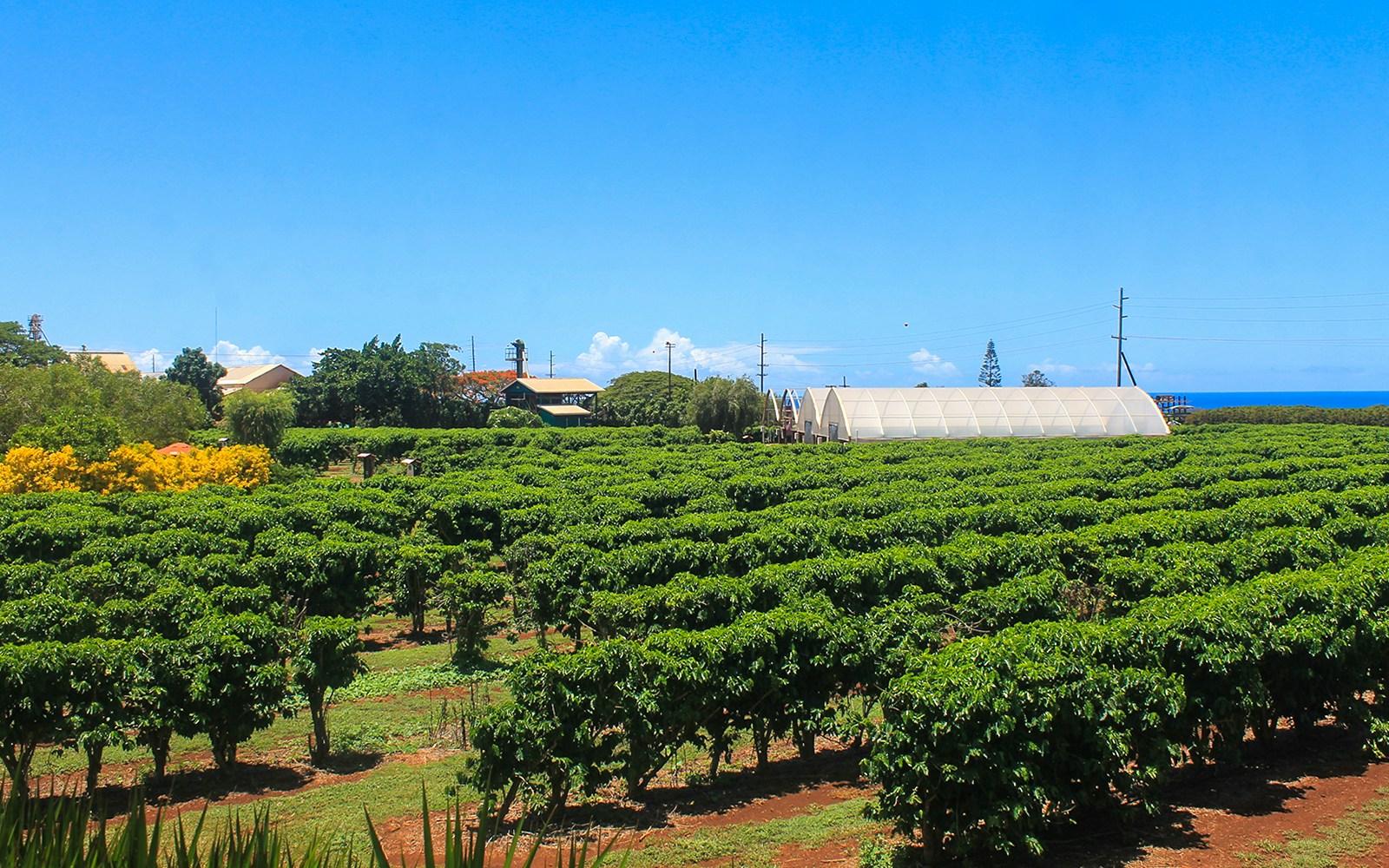 Sightseeing opportunities