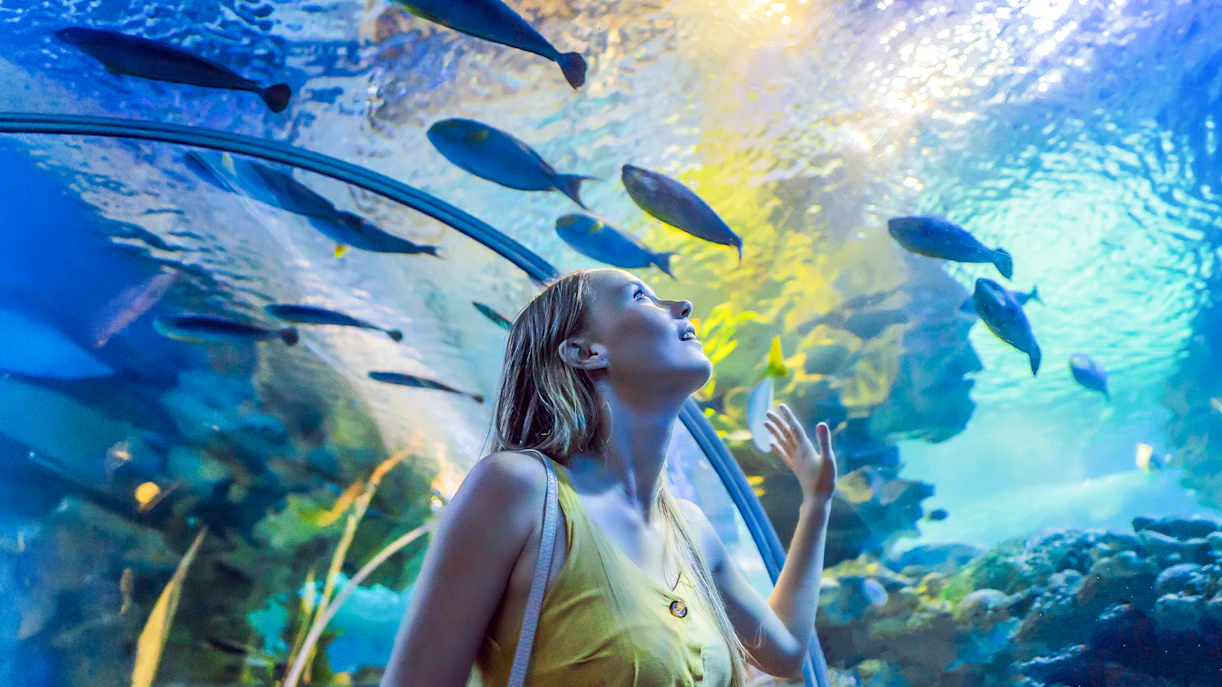 Woman in underwater tunnel looking up at fish in awe.