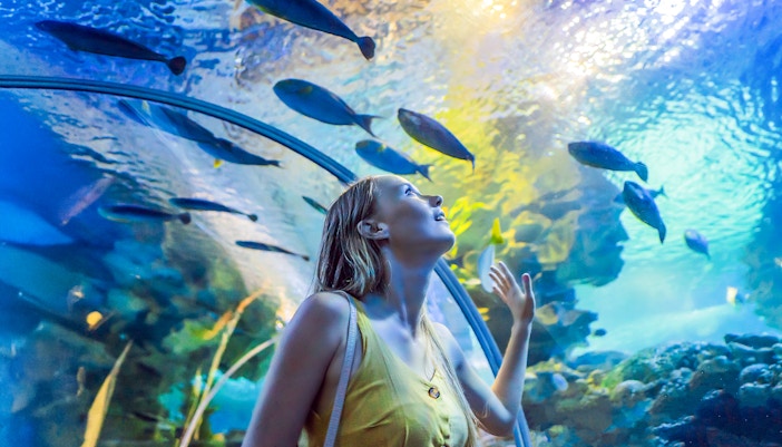 Woman in underwater tunnel gazing at fish in awe, Langkawi Underwater World