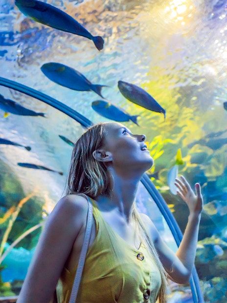 Woman in underwater tunnel looking up at fish in awe.