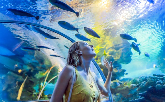 Woman in underwater tunnel looking up at fish in awe.