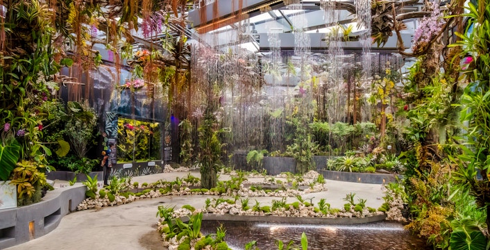 Floral Fantasy Singapore