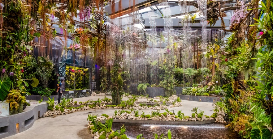 Floral Fantasy Singapore