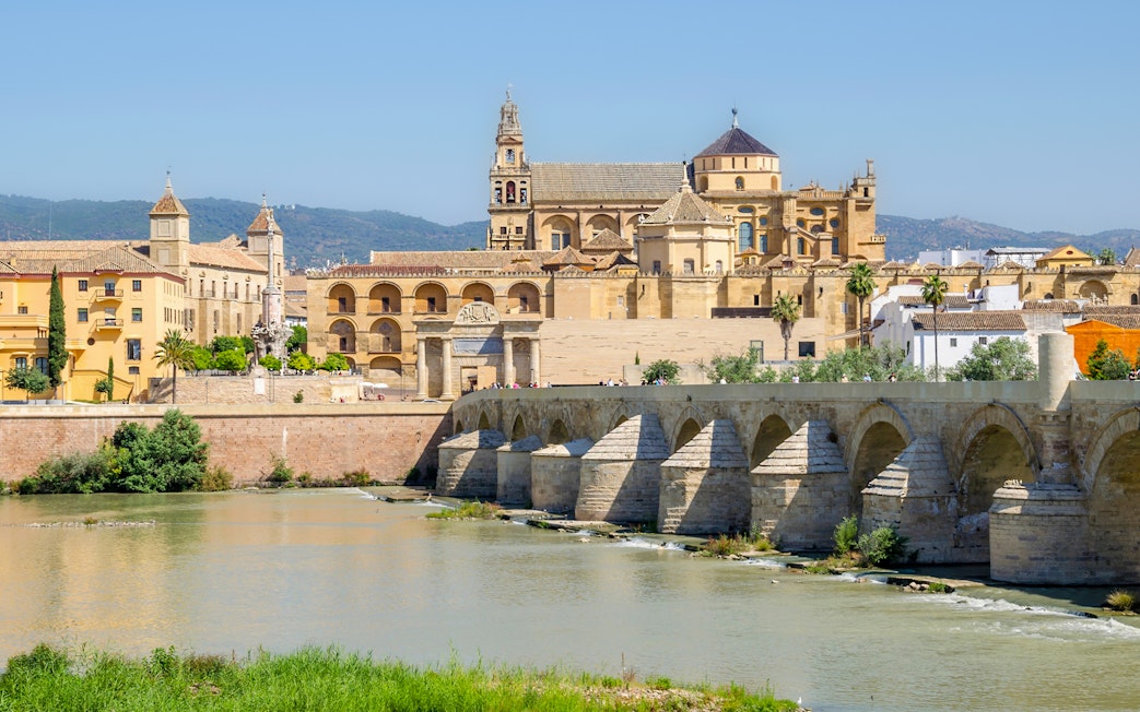 Roman bridge with Mosque Cathedral in the background, Cordoba.