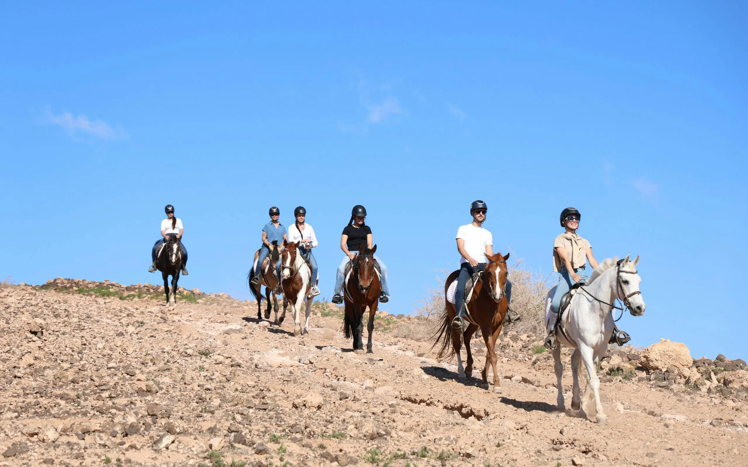 Group horse riding on volcanic trail in Gran Canaria.