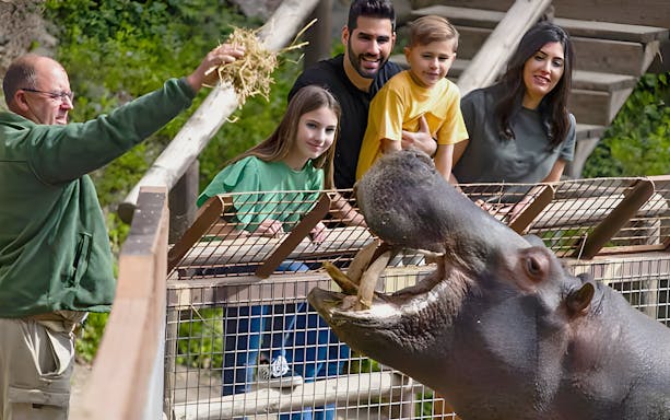Visitors feeding a hippo at Selwo Aventura park in Estepona, Spain.