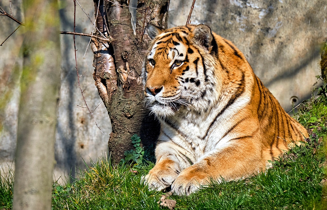 zoo leipzig