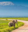 Nationaal Park Amboseli