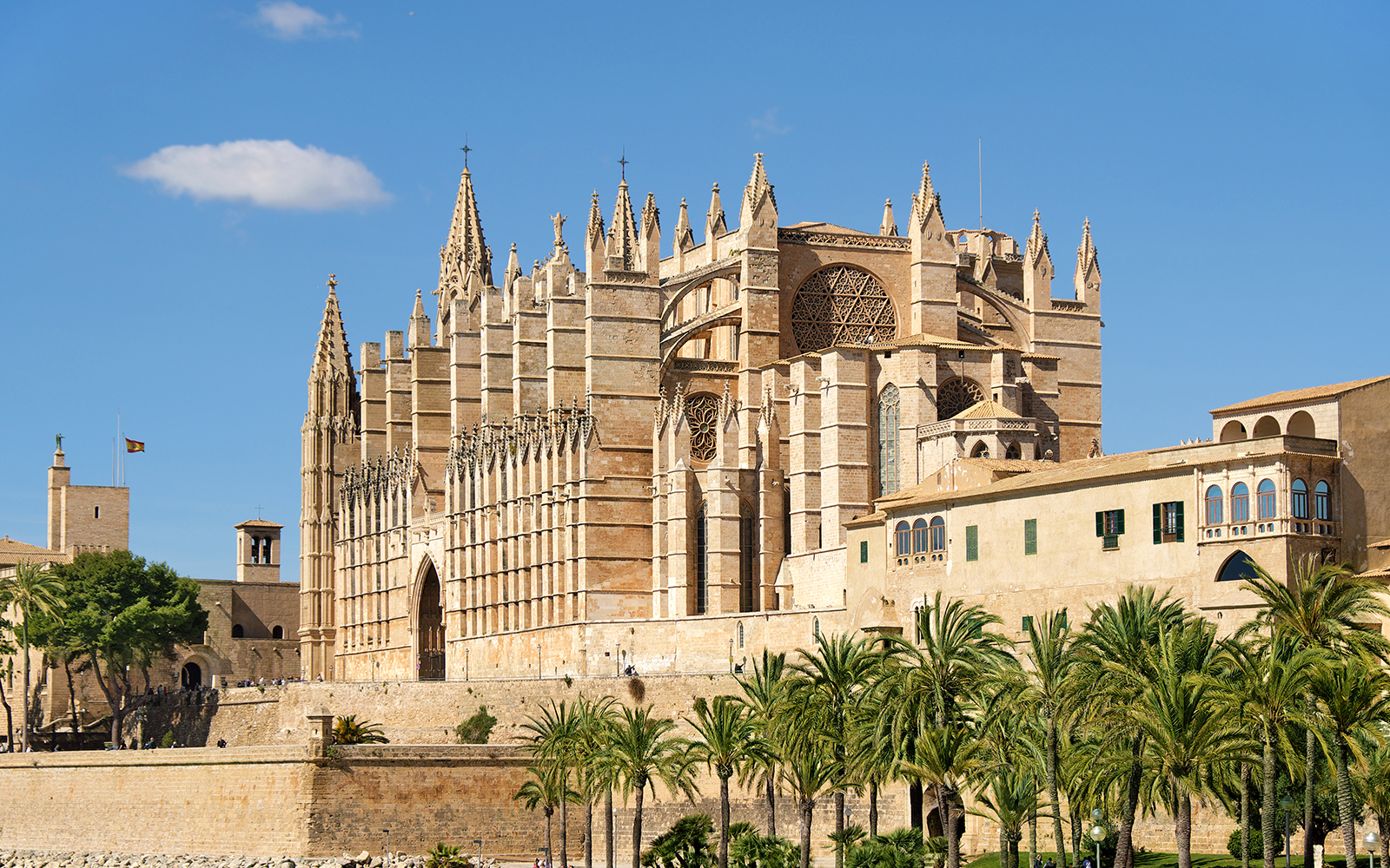 La Seu Cathedral in Palma, Mallorca, viewed from the PalmaBus Excursion.